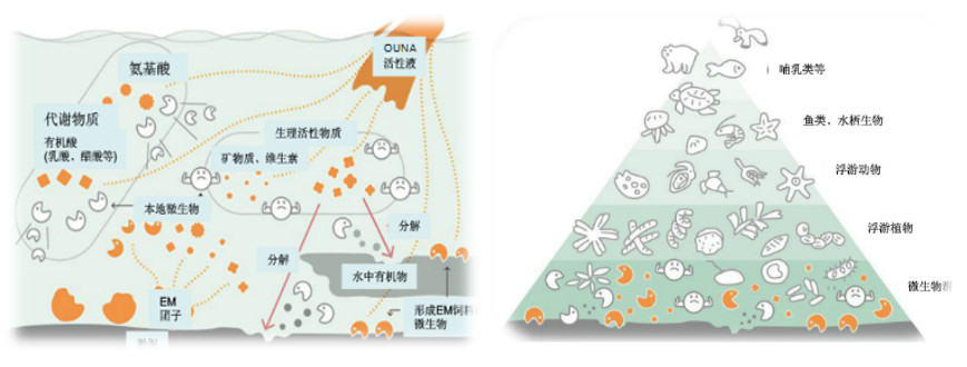 水環境治理與生態修復